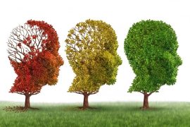 Salud Mental