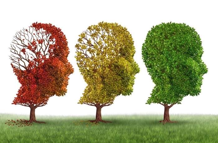 Salud Mental