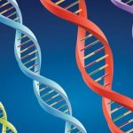 Biometria ADN