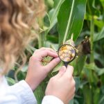 Buenas Prácticas Agrícolas (BPA) - DeboSaber.cl