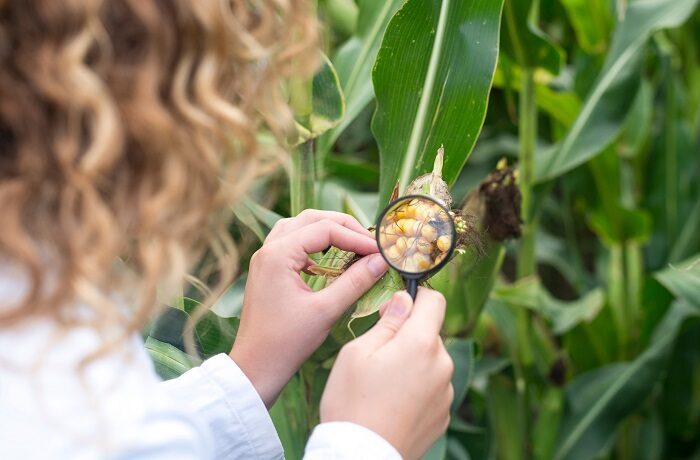 Buenas Prácticas Agrícolas (BPA) - DeboSaber.cl