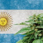 Argentina ley cannabis medicinal y cañamo industrial