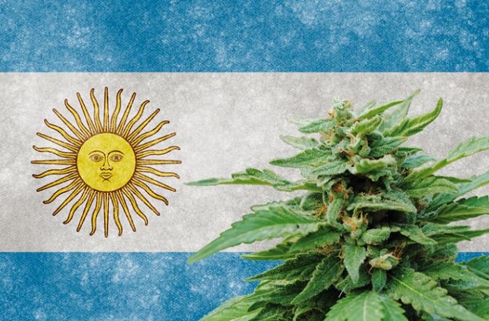 Argentina ley cannabis medicinal y cañamo industrial