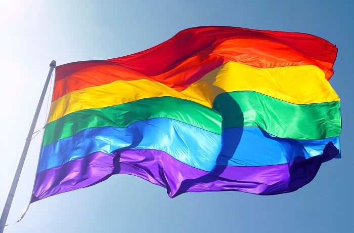 Día del orgullo Día del orgullo
