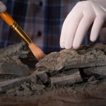 Geocronología