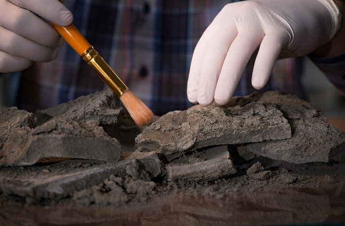 Geocronología Geocronología