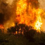 Incendios forestales