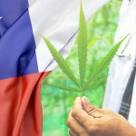 Legalización marihuana Chile