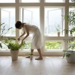 Mejorar la calidad del aire de tu hogar