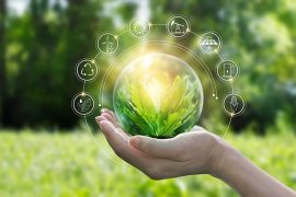 Green Development 2030