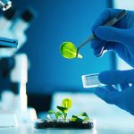 TGL biotech