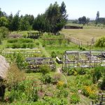Agroecologia Chile