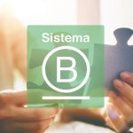 Sistema B