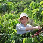 Nescafé plan de sustentabilidad