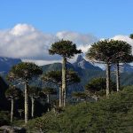 Parques naturales Chile