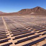 Aster Startup ecológica