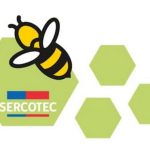 Sercotec capital abeja