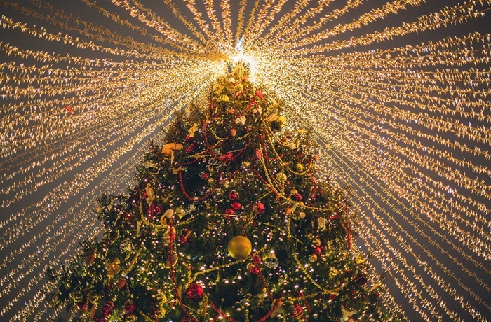 Árbol de Navidad Árbol de Navidad