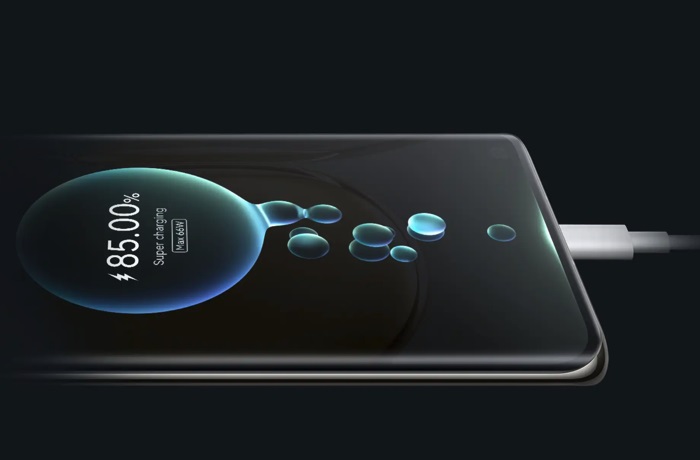 Carga celular
