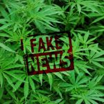 Fake news cannabis