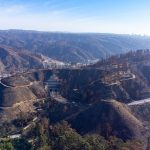 Jardín Botánico de Viña del Mar luego del incendio
