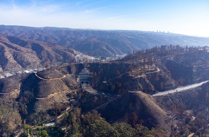 Jardín Botánico de Viña del Mar luego del incendio Jardín Botánico de Viña del Mar luego del incendio