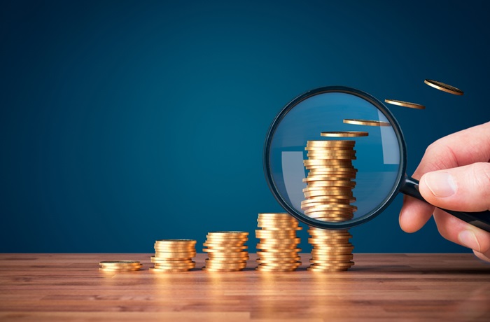 Maximizar tus ingresos