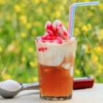 Lanzamiento Bebidas, cócteles y licores chilenos