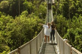 Parque tricao