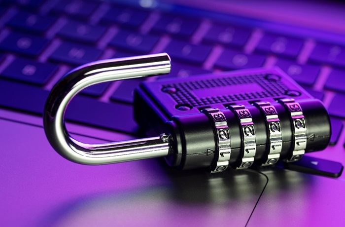 Seguridad digital
