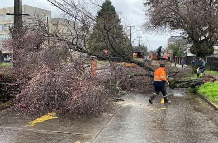 Temporales en Chile