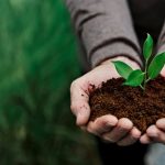 Sostenibilidad ambiental