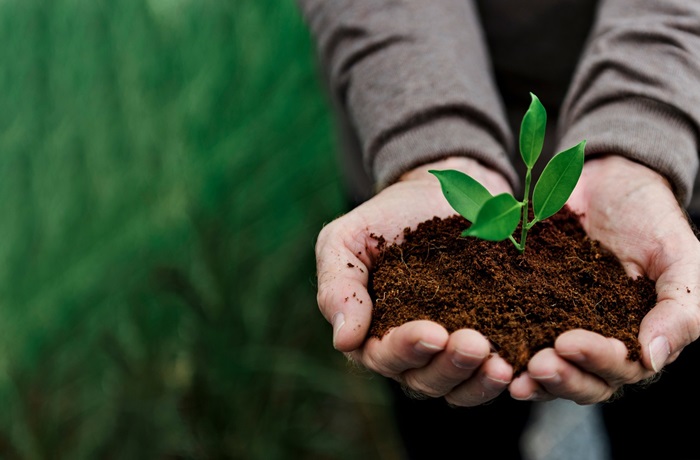 Sostenibilidad ambiental