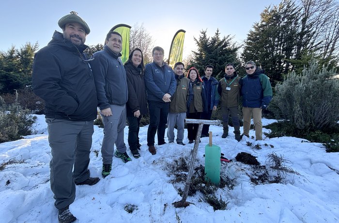 Alianza CONAF Magallanes y Fundación Reforestemos, Torres del Paine