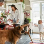Familia en el living de su casa con un perro y una niña pequeña, estudio IKEA Life at Home Chile