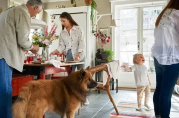 Familia en el living de su casa con un perro y una niña pequeña, estudio IKEA Life at Home Chile