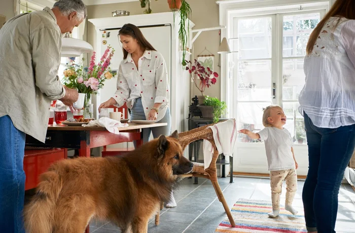 Familia en el living de su casa con un perro y una niña pequeña, estudio IKEA Life at Home Chile